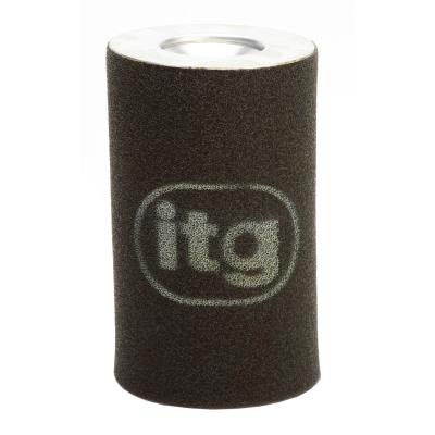 Filtro de aire de ITG para la gasolina del defensor 2,5 de Land Rover (09/90>07/95)